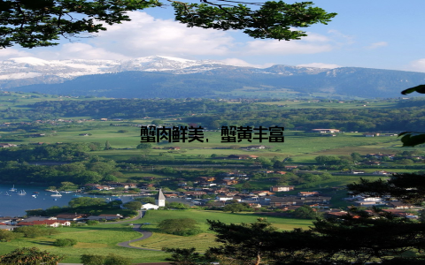 蟹肉鲜美, 蟹黄丰富