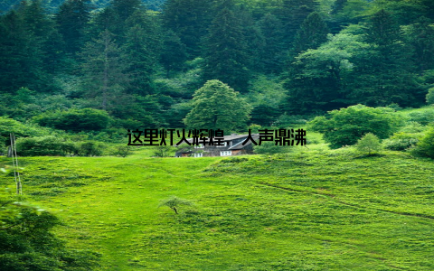 这里灯火辉煌, 人声鼎沸