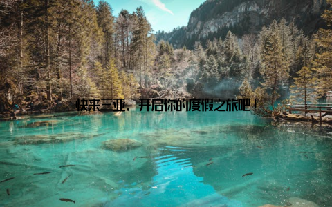 快来三亚, 开启你的度假之旅吧!