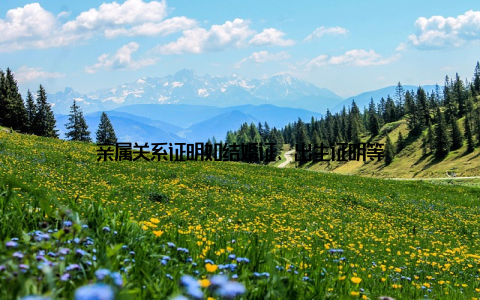 亲属关系证明如结婚证、出生证明等