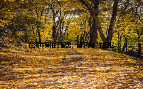 在瀑布旁拍照留念, 留下美好的回忆