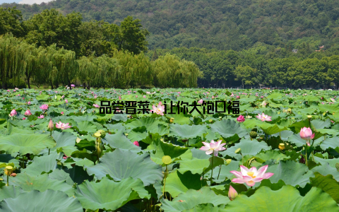 品尝晋菜, 让你大饱口福