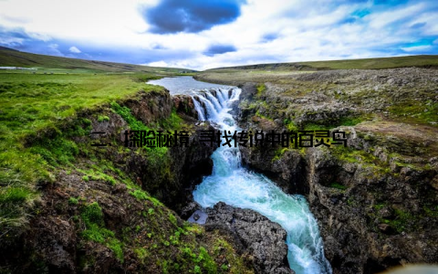 二、探险秘境 寻找传说中的百灵鸟