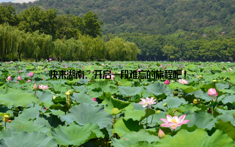 快来湖南, 开启一段难忘的旅程吧!