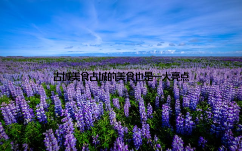 古城美食古城的美食也是一大亮点