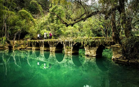 这些菜肴色香味俱佳, 让人垂涎欲滴